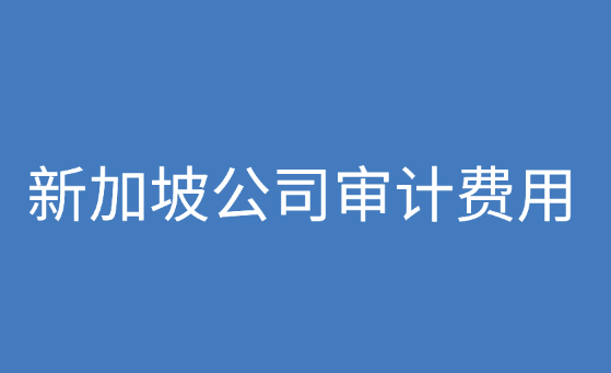 新加坡公司审计费用标准